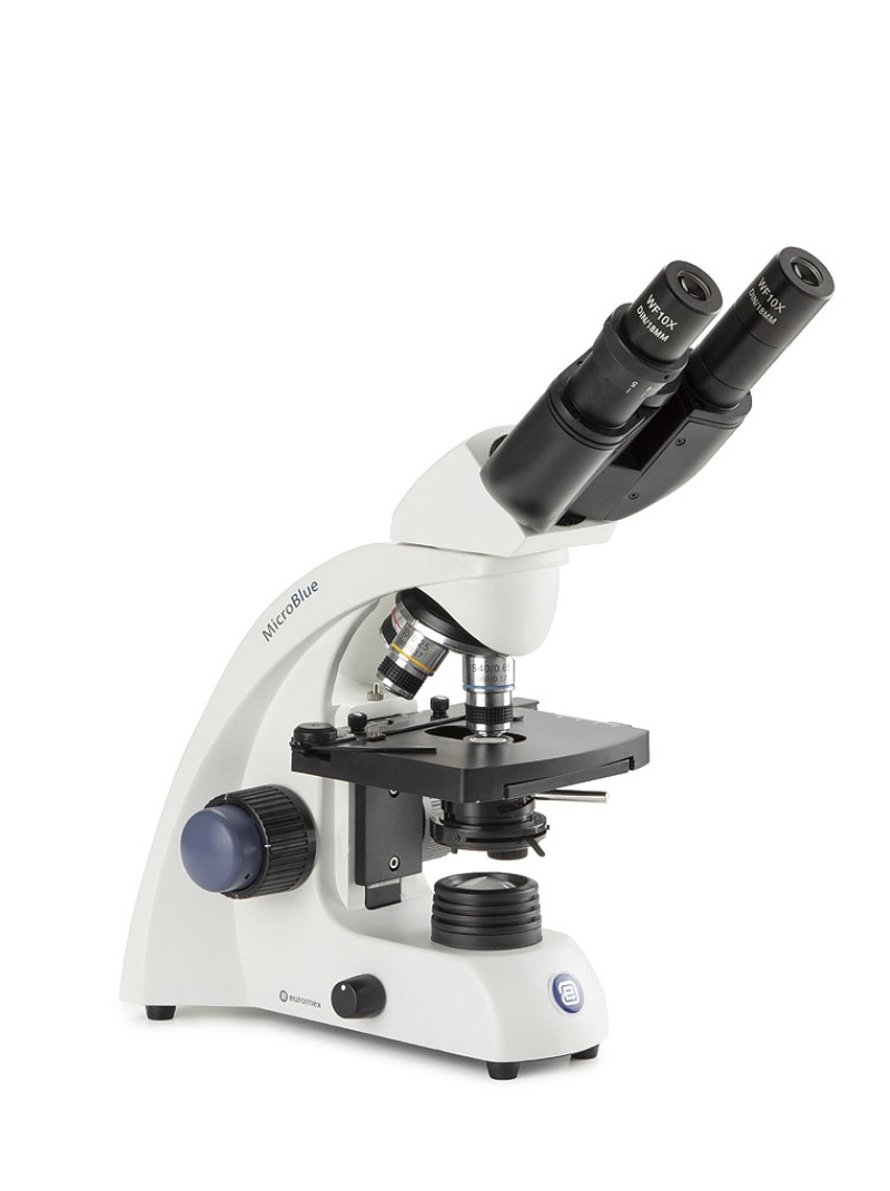 Schüler Mikroskop mit Akku Betrieb von Euromex für Schulen Gymnasien Realschulen Grundschulen günstig