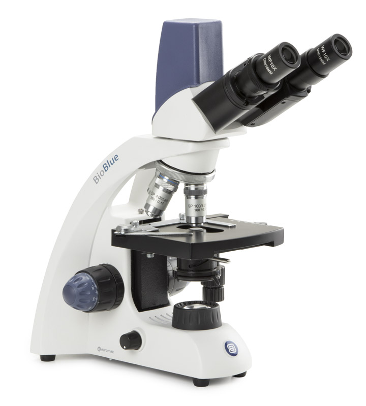 Lehrer Mikroskop mit Kamera und Akku Betrieb von Euromex BioBlue für Schulen Gymnasien Realschulen Grundschulen günstig