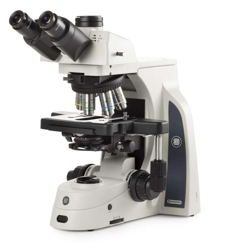 Euromex Delphi x Observer Mikroskop für Pathologie Zellbiologie Medizin Klinik